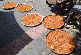 Trays of shrimps drying in the sun