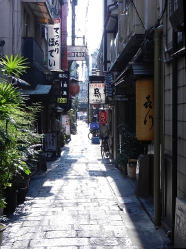 A traditional alley in the Dotobbori district 